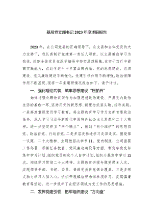 基层党支部书记2023年度述职报告9篇（详细版）.docx
