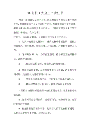 30.建筑施工企业打桩工安全生产责任书（2024版参考范本）.docx