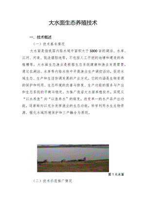 大水面生态养殖技术.docx