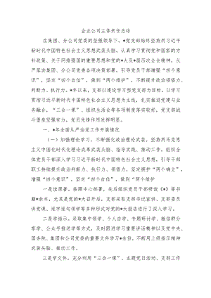企业公司主体责任总结.docx