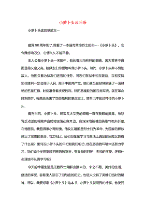 小萝卜头读后感.docx