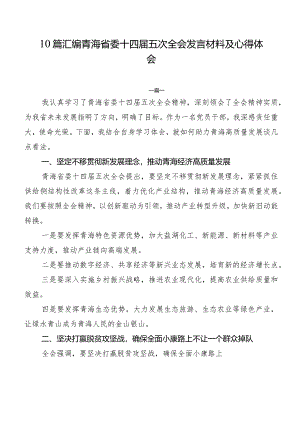 10篇汇编青海省委十四届五次全会发言材料及心得体会.docx