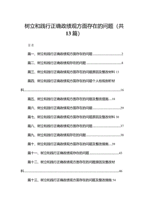 树立和践行正确政绩观方面存在的问题（共13篇）.docx