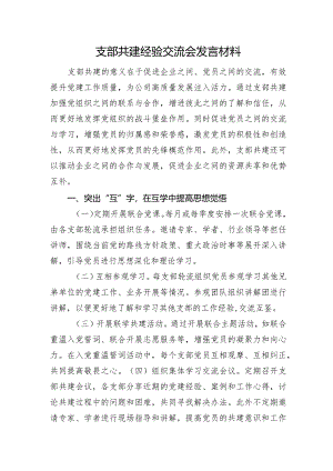 支部共建经验交流会发言材料.docx