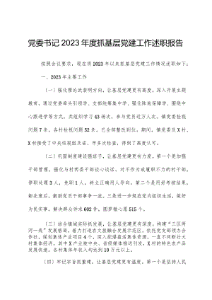 党委书记2023年度抓基层党建工作述职报告.docx