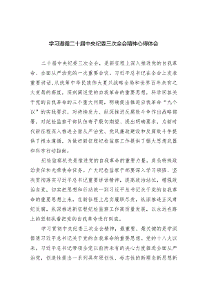 学习遵循二十届中央纪委三次全会精神心得体会（共9篇）.docx