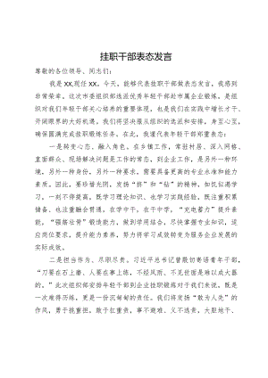 挂职干部表态发言.docx