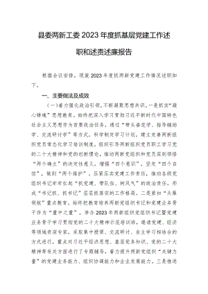 县委两新工委2023年度抓基层党建工作述职和述责述廉报告.docx