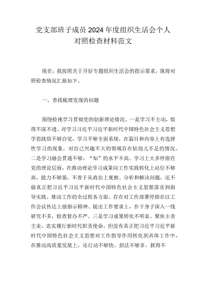 党支部班子成员2024年度组织生活会个人对照检查材料范文.docx