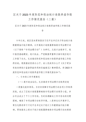 区关于2023年度防范和惩治统计造假弄虚作假工作情况报告(二篇).docx