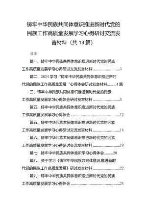 铸牢中华民族共同体意识推进新时代党的民族工作高质量发展学习心得研讨交流发言材料13篇（最新版）.docx