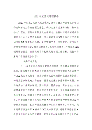 2023年度党建述职报告.docx