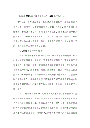 县某局2023年党建工作总结及2024年工作计划.docx