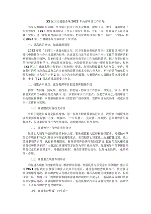 区卫生健康系统2022年内部审计工作计划.docx