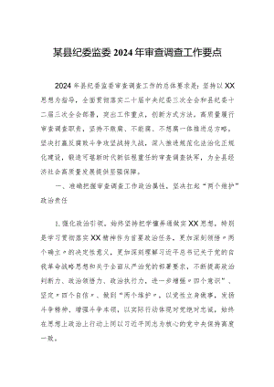 某县纪委监委2024年审查调查工作要点.docx