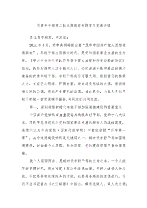 在青年干部第二批主题教育专题学习党课讲稿.docx