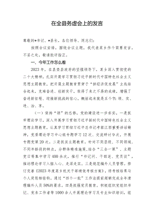 在全县务虚会上的发言.docx