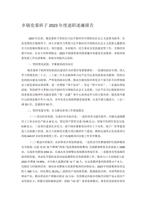 乡镇党委班子2023年度述职述廉报告.docx