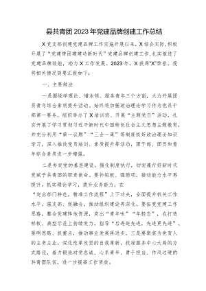 县共青团2023年党建品牌创建工作总结.docx
