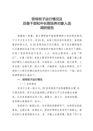 领导班子运行情况及后备干部和中长期培养对象人选调研报告.docx