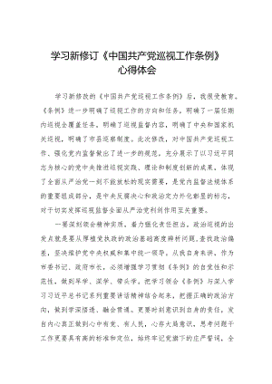 领导干部学习2024版新修订《中国共产党巡视工作条例》心得体会五篇.docx