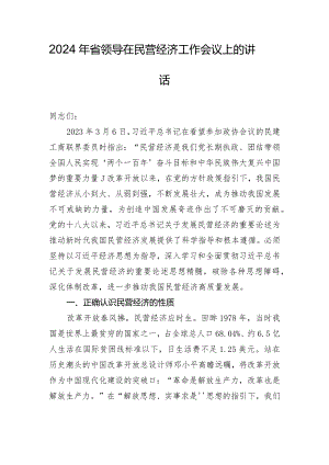 2024年省领导在民营经济工作会议上的讲话.docx
