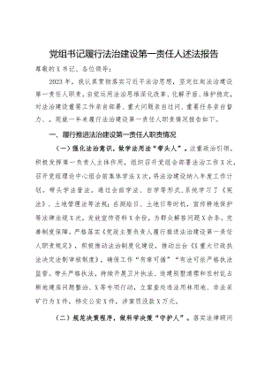 党组书记履行法治建设第一责任人述法报告.docx