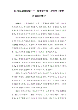 （4篇）2024年遵循落实在二十届中央纪委三次全会上重要讲话心得体会.docx