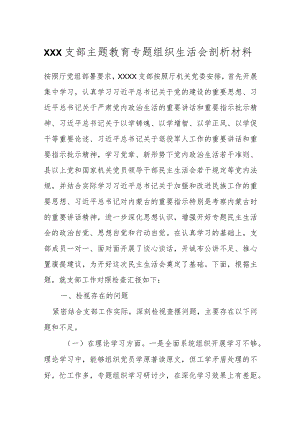 XXX支部主题教育专题组织生活会剖析材料.docx
