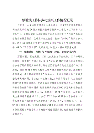 镇驻镇工作队乡村振兴工作情况汇报.docx