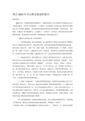 国企2023年书记抓党建述职报告.docx