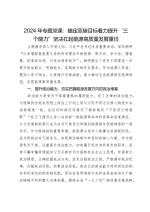 2024年专题党课：锚定双碳目标着力提升“三个能力”坚决扛起能源高质量发展重任.docx