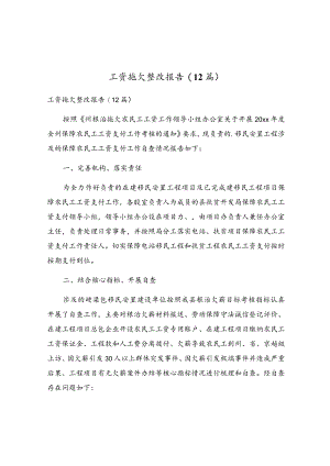 工资拖欠整改报告(12篇).docx