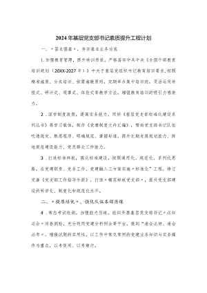 2024年基层党支部书记素质提升工程计划.docx