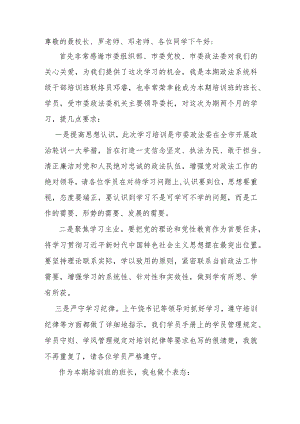 政法系统干部培训发言稿.docx