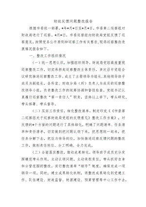 财政反馈问题整改报告.docx
