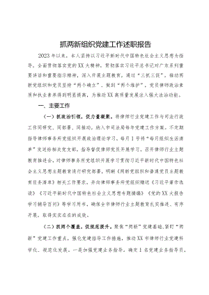 市司法局2023年抓两新组织党建工作述职报告.docx