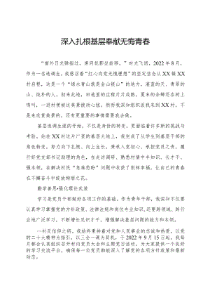 选调生驻村工作纪实.docx