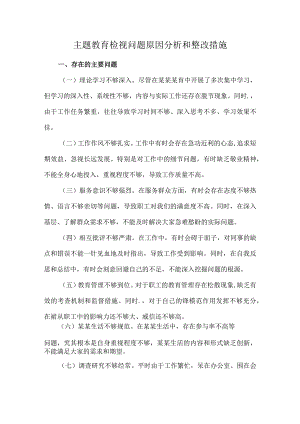 主题教育检视问题原因分析和整改措施.docx