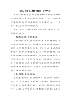 在审计部署会上的讲话发言.docx