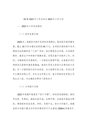 XX镇2023年工作总结及2024年工作计划.docx