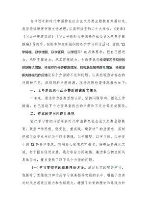 党支部书记2023年主题教育专题组织生活会个人对照检查材料.docx