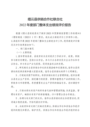 缙云县供销合作社联合社2022年度部门整体支出绩效评价报告.docx