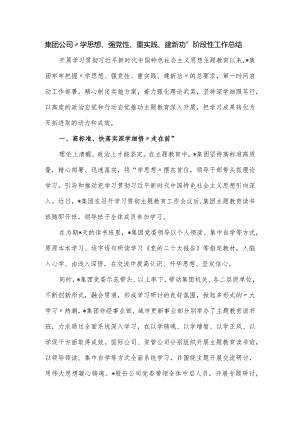 集团公司“学思想、强党性、重实践、建新功”阶段性工作总结.docx