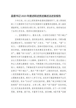 县委书记2023年度述职述责述廉述法述安报告.docx