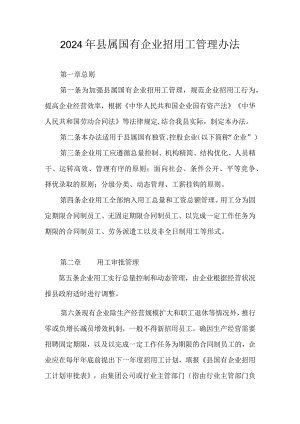 2024年县属国有企业招用工管理办法.docx