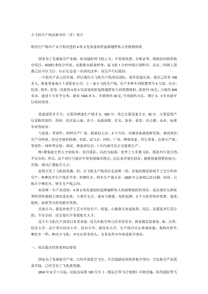 小飞机项目可研分析报告.docx