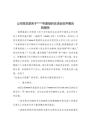 公司党支部关于2022年度组织生活会召开情况的报告【】.docx