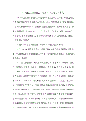 县司法局司法行政工作总结报告.docx