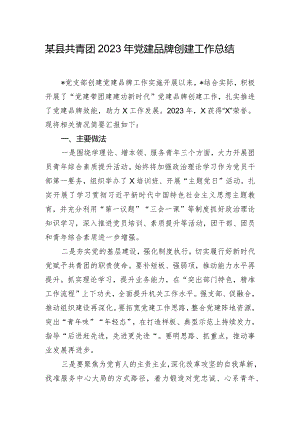 某县共青团2023年党建品牌创建工作总结.docx